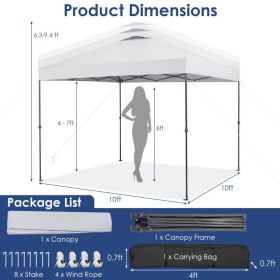 10' x 10' Foldable Outdoor Instant Pop-up Canopy, w/ Carry Bag